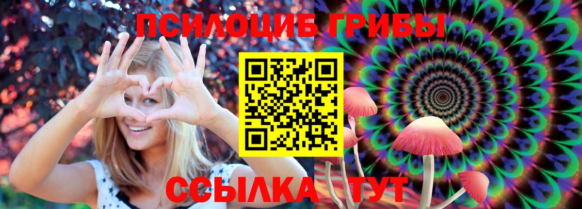 сколько стоит  Псилоцибиновые грибы GOLDEN TEACHER  Кировск  Вход с VPN  Галлюциногенные грибы Psilocybine cubensis 