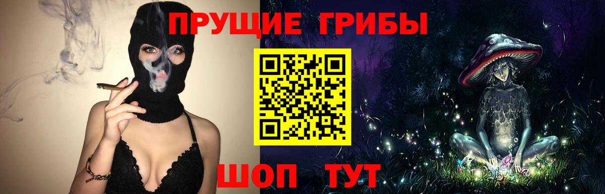 Галлюциногенные грибы Cubensis Кировск